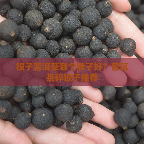 茶化石碎银子普洱茶哪家好