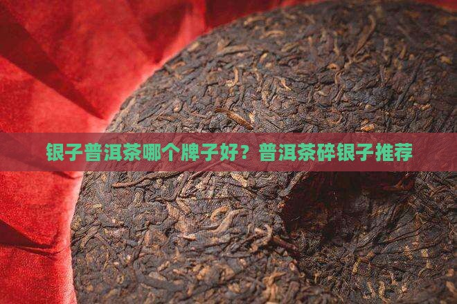 茶化石碎银子普洱茶哪家好