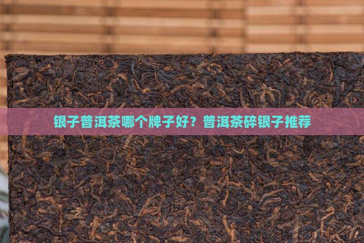 茶化石碎银子普洱茶哪家好