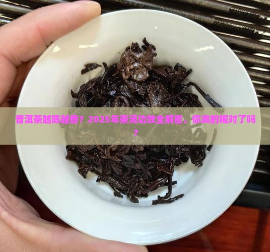 普洱茶越陈茶汤的功效