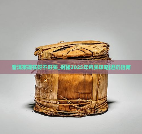 普洱茶现在好不好买
