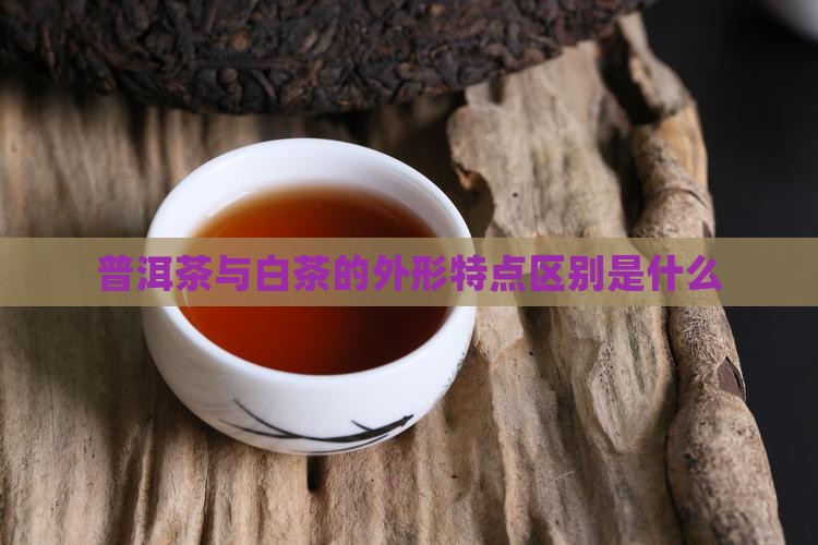 普洱茶白茶的外形特点是