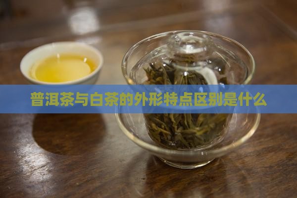 普洱茶白茶的外形特点是