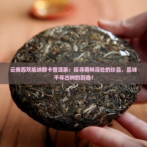 云南西双版纳那卡普洱茶