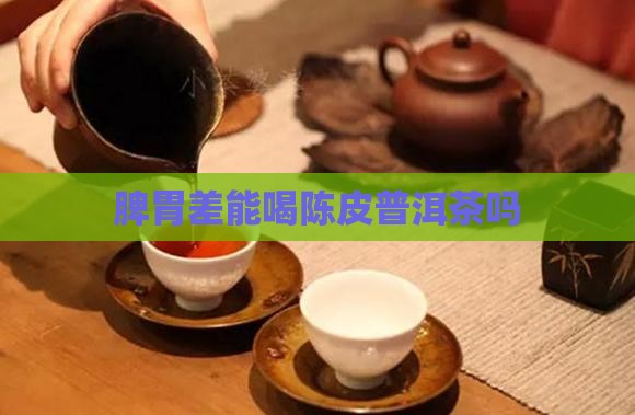 脾胃差能喝陈皮普洱茶吗