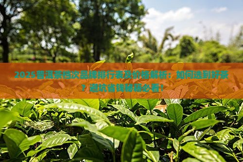 普洱茶档次品牌排行表及价格