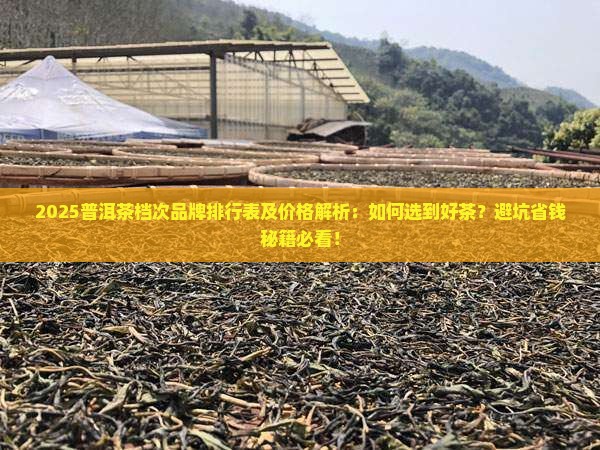 普洱茶档次品牌排行表及价格