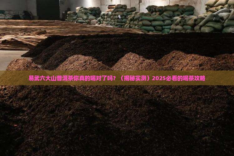 易武六大山普洱茶