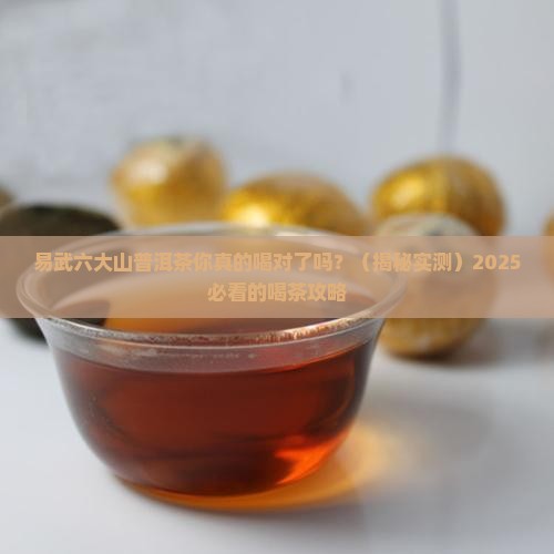 易武六大山普洱茶