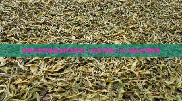 醉春秋普洱茶的特点