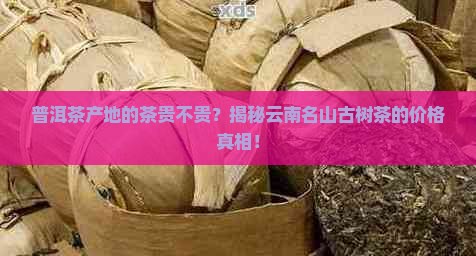 普洱茶产地的茶贵不贵