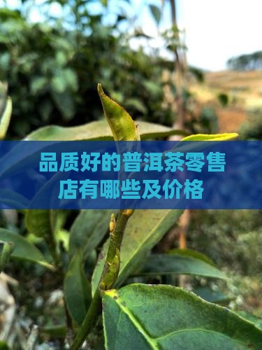 品质好的普洱茶零售