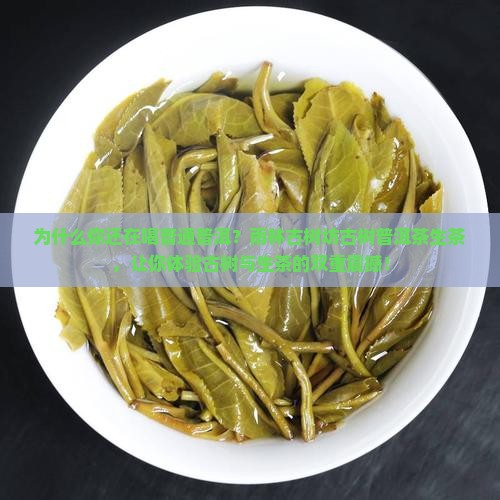 雨林古树坊古树普洱茶生茶