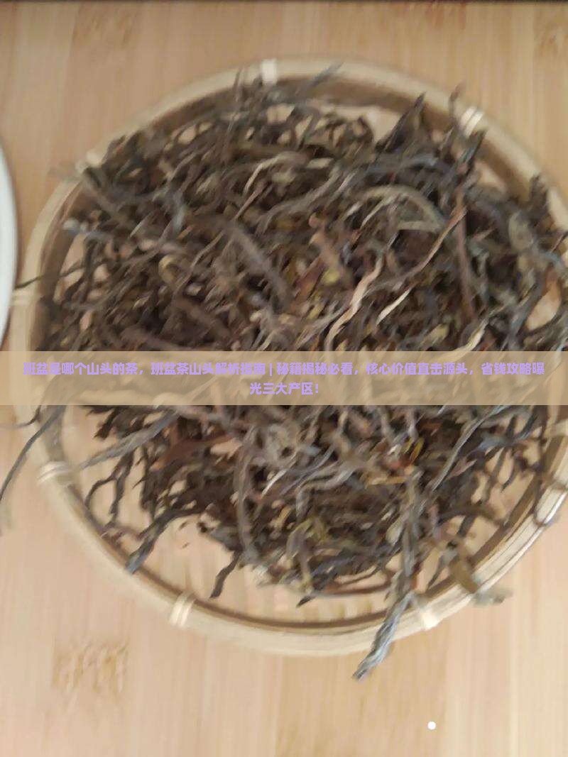 班盆是哪个山头的茶