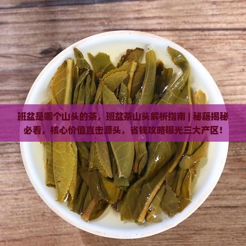 班盆是哪个山头的茶