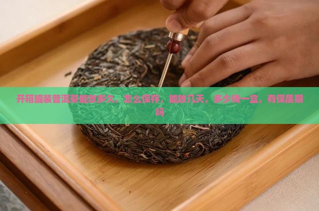 开箱罐装普洱茶