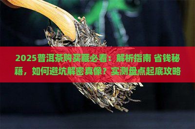 老徐谈普洱茶购买藏