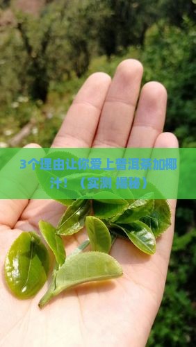 普洱茶加椰汁的功效和作用