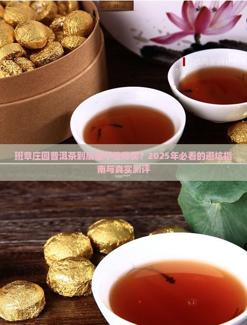 班章庄园普洱茶