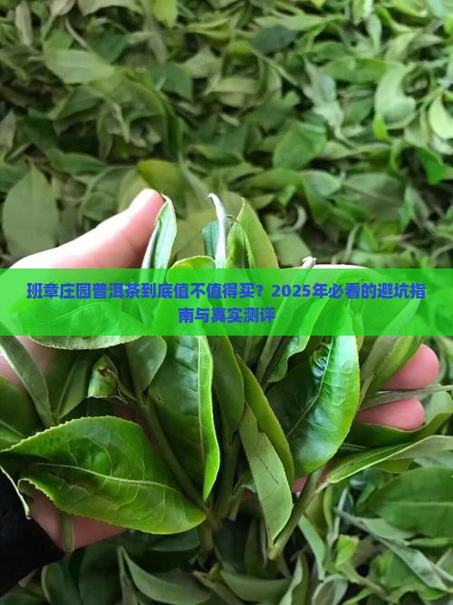 班章庄园普洱茶