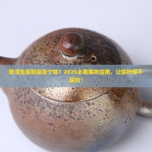 普洱茶写的生茶是什么意思