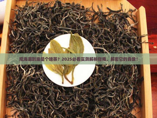 观海潮是什么茶