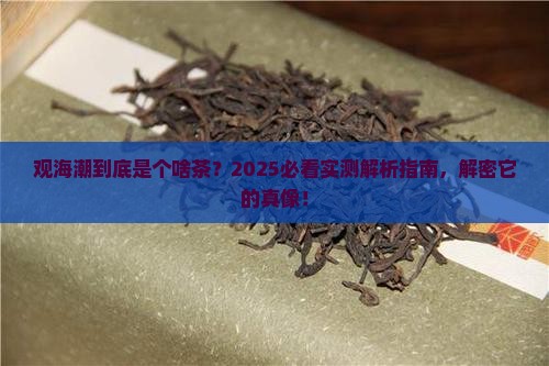 观海潮是什么茶