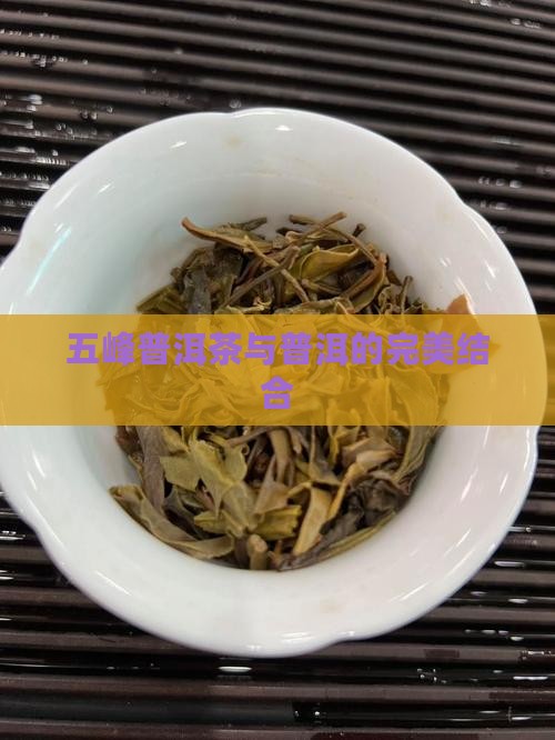 云南五峰普洱茶