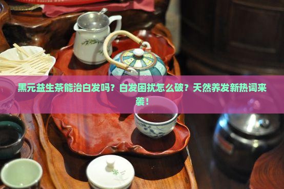 黑元益生茶能治白发吗