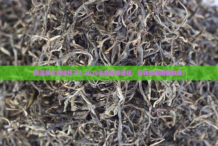 普洱茶生茶送杯子