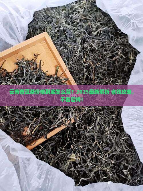 云南普洱茶成本价格表