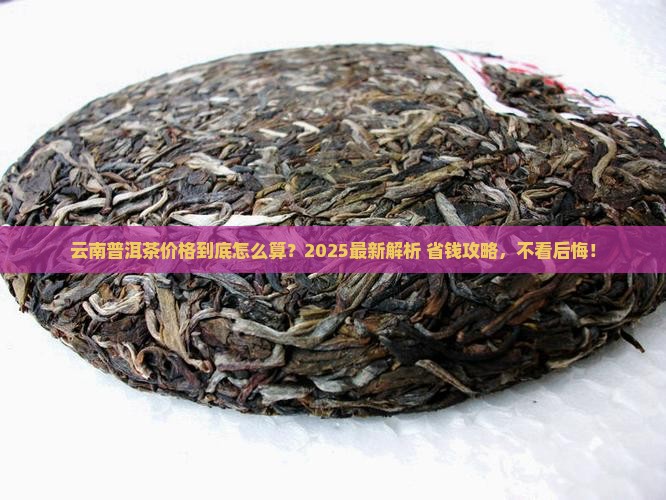 云南普洱茶成本价格表