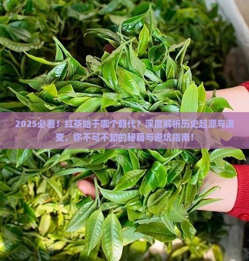 红茶始于什么年代