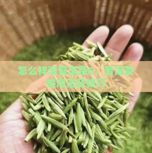 怎么样泡普洱茶6