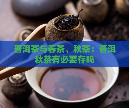 普洱茶有必要存秋茶吗