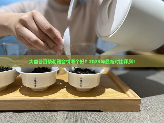 大益普洱茶和雅合悦哪个好