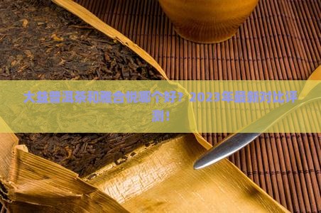 大益普洱茶和雅合悦哪个好