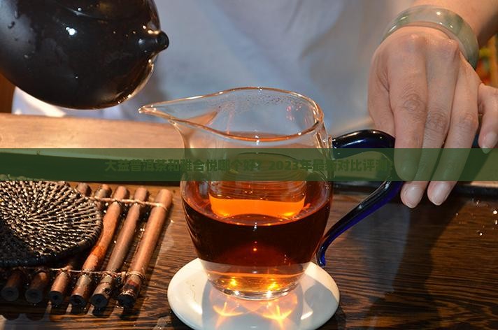 大益普洱茶和雅合悦哪个好