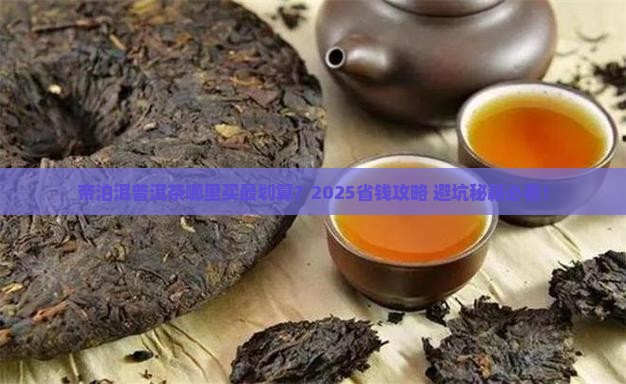 帝泊洱普洱茶哪里