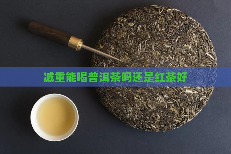 减重能喝普洱茶吗还是红茶