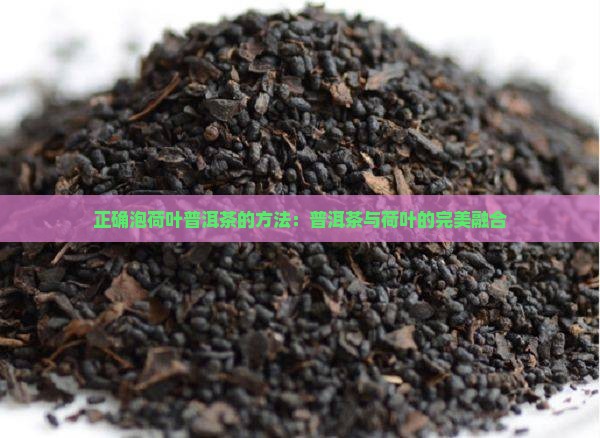 凤庆荷叶普洱茶怎么样泡