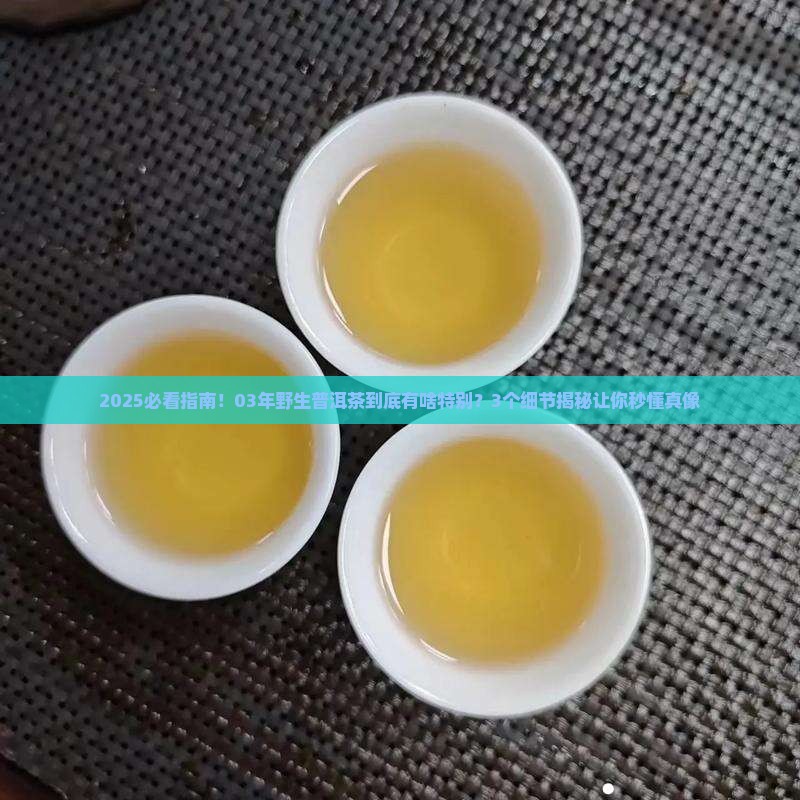 03年野生普洱茶特点