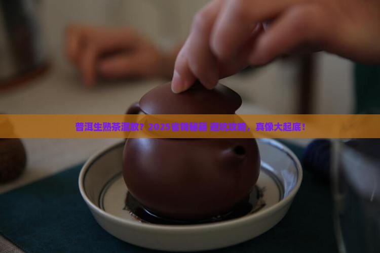 普洱茶生茶熟茶能一起放么
