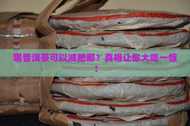 喝普洱茶可以减肥那