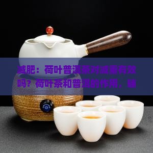 减肥喝荷叶普洱茶减肥吗