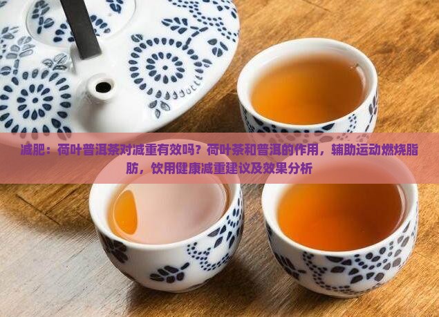 减肥喝荷叶普洱茶减肥吗