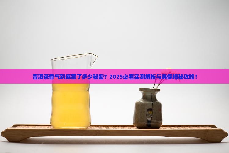 普洱茶知识的香气描述是什么