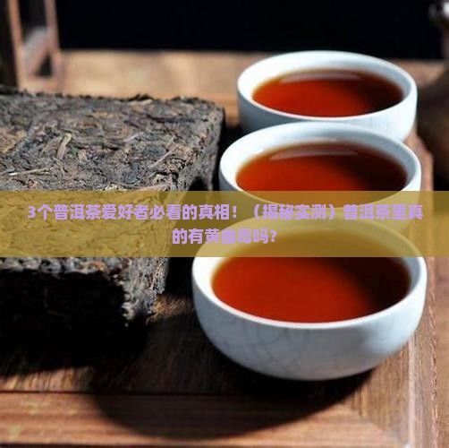 普洱茶里有没有黄曲霉