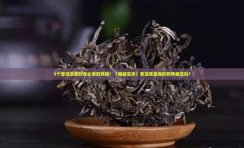 普洱茶里有没有黄曲霉