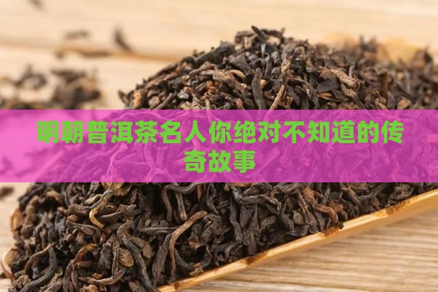 明朝普洱茶名人